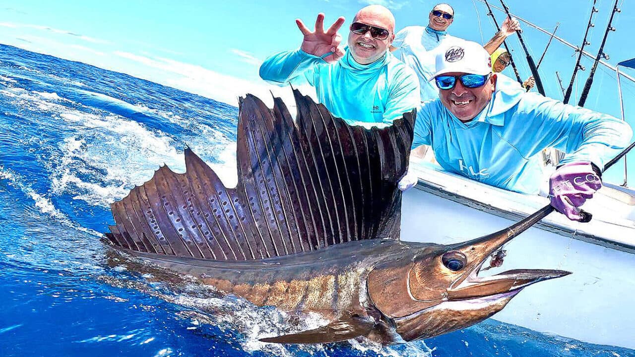 A sailfish hooked up and lit blue off the stern of Sur Reel, Guatemala Pacific coast